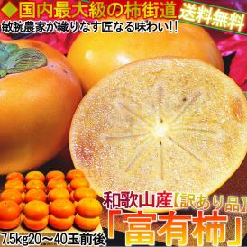 【サイズ混合特価！】産地直送 富有柿 約7.5kg 和歌山県産 訳あり品 JA共撰品 季節ごとに旬の品種を厳選！本場で育てた抜群の美味しさ