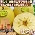 はるか 蜜入り黄りんご 約3kg 8～12玉入り 特秀品 山形県産 贈答品 JAさがえ西村山 高い糖度と酸味の少ない果肉！国内屈指の林檎産地で育った味わい抜群のリンゴ