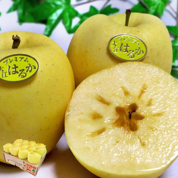 はるか 蜜入り黄りんご 約3kg 7~13玉 特秀品 山形県産 贈答品 JAさがえ西村山 高い糖度と酸味の少ない果肉!国内屈指の林檎産地で育った味わい抜群のリンゴ01