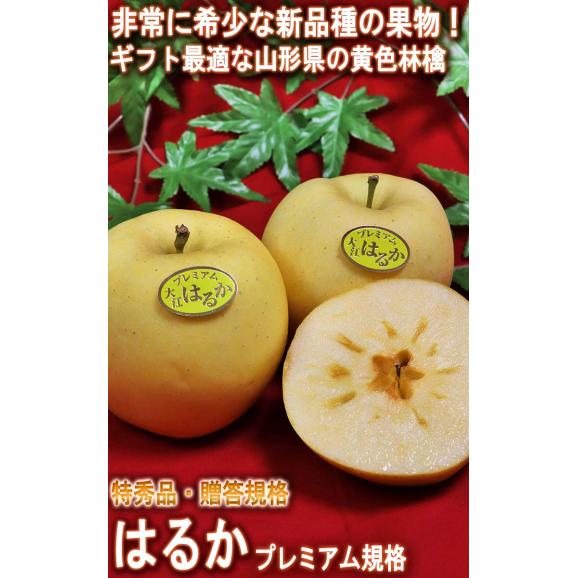はるか 蜜入り黄りんご 約3kg 8～12玉入り 特秀品 山形県産 贈答品 JAさがえ西村山 高い糖度と酸味の少ない果肉！国内屈指の林檎産地で育った味わい抜群のリンゴ02
