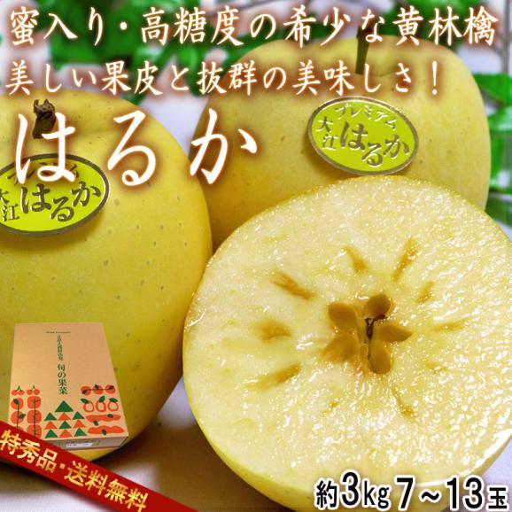 はるか 蜜入り黄りんご 約3kg 7~13玉 特秀品 山形県産 贈答品 JAさがえ西村山 高い糖度と酸味の少ない果肉!国内屈指の林檎産地で育った味わい抜群のリンゴ02