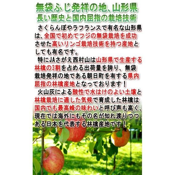 はるか 蜜入り黄りんご 約3kg 8～12玉入り 特秀品 山形県産 贈答品 JAさがえ西村山 高い糖度と酸味の少ない果肉！国内屈指の林檎産地で育った味わい抜群のリンゴ03