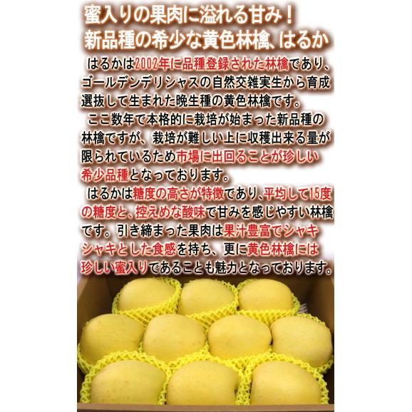 はるか 蜜入り黄りんご 約3kg 8～12玉入り 特秀品 山形県産 贈答品 JAさがえ西村山 高い糖度と酸味の少ない果肉！国内屈指の林檎産地で育った味わい抜群のリンゴ04