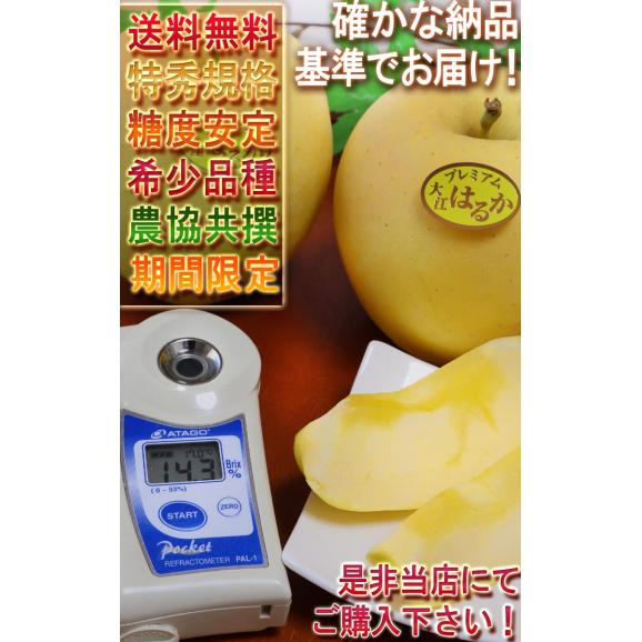 はるか 蜜入り黄りんご 約3kg 8～12玉入り 特秀品 山形県産 贈答品 JAさがえ西村山 高い糖度と酸味の少ない果肉！国内屈指の林檎産地で育った味わい抜群のリンゴ05