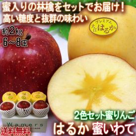 蜜りんご2色セット 蜜いわて はるか 約2kg 6～8玉入り 岩手県産・山形県産 今が旬の林檎をお試し規格でお届け！果汁豊富で高糖度な抜群の味わい
