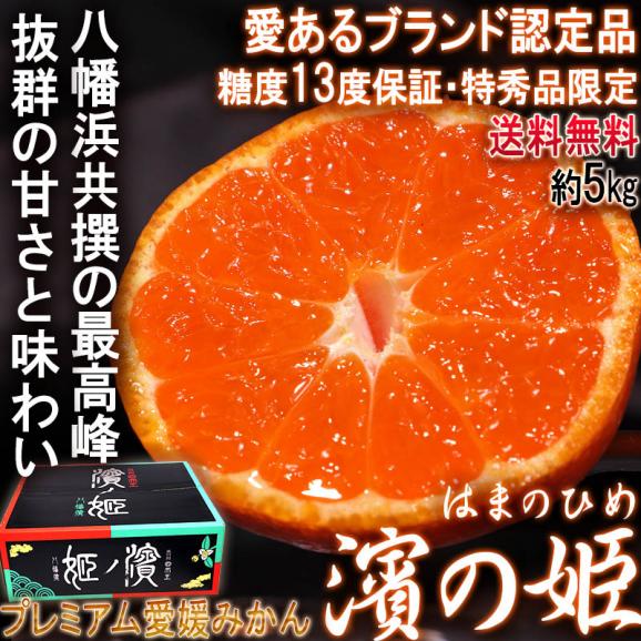 濱ノ姫 プレミアム愛媛みかん 約5kg 贈答規格・特秀品限定 JAにしうわ 八幡浜共撰が誇る最高峰の蜜柑！糖度13度保証の高級フルーツ02