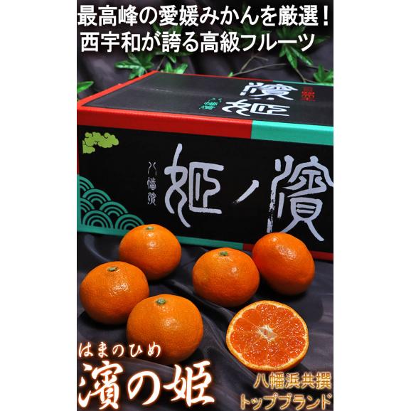 濱ノ姫 プレミアム愛媛みかん 約5kg 贈答規格・特秀品限定 JAにしうわ 八幡浜共撰が誇る最高峰の蜜柑！糖度13度保証の高級フルーツ03