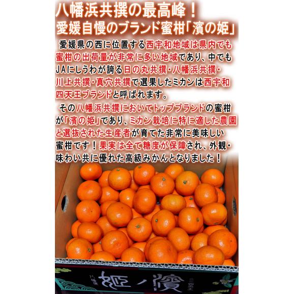 濱ノ姫 プレミアム愛媛みかん 約5kg 贈答規格・特秀品限定 JAにしうわ 八幡浜共撰が誇る最高峰の蜜柑！糖度13度保証の高級フルーツ04