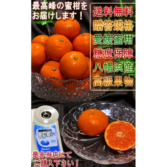 濱ノ姫 プレミアム愛媛みかん 約5kg 贈答規格・特秀品限定 JAにしうわ 八幡浜共撰が誇る最高峰の蜜柑！糖度13度保証の高級フルーツ05