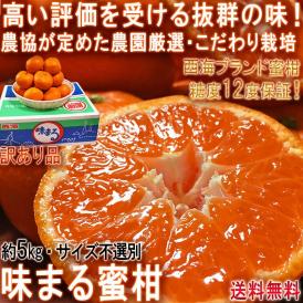 味まる蜜柑 約5kg サイズ不選別 長崎県産 訳あり品 JAながさき西海 糖度12度保証のブランドみかん！お求めやすい家庭用規格