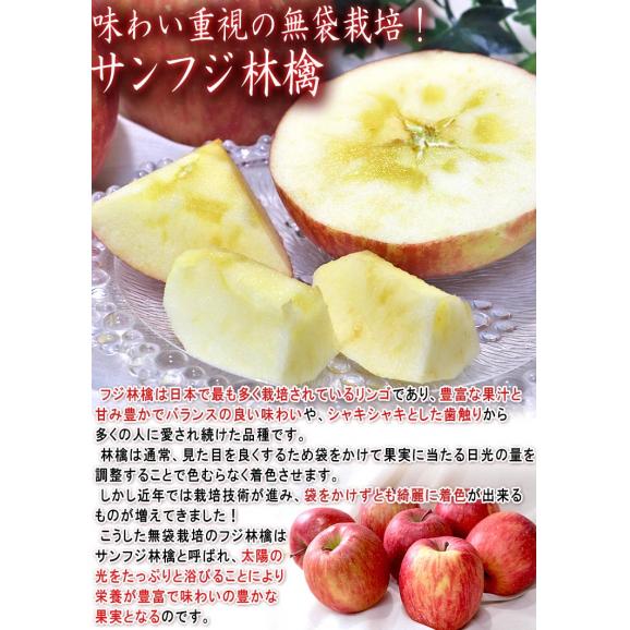 蜜いわて サンフジ林檎 約2.5kg 5~10玉 岩手県産 訳あり品 家庭用 濃厚な味と蜜入りの果肉!美味しさ重視の岩手りんご02