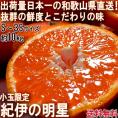 産地直送 紀伊の明星 温州みかん 約10kg S～3Sサイズ 和歌山県産 小玉限定 蜜柑の出荷量日本一！和歌山で育てた抜群の鮮度と味わい