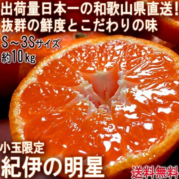 産地直送 紀伊の明星 温州みかん 約10kg S~3Sサイズ 和歌山県産 小玉限定 蜜柑の出荷量日本一!和歌山で育てた抜群の鮮度と味わい02