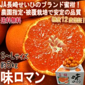 味ロマン 温州みかん 約5kg S～Lサイズ 長崎県産 糖度12度保証 JA長崎せいひ 農園指定・被覆栽培で抜群の味わい！糖度センサー選果のブランド蜜柑