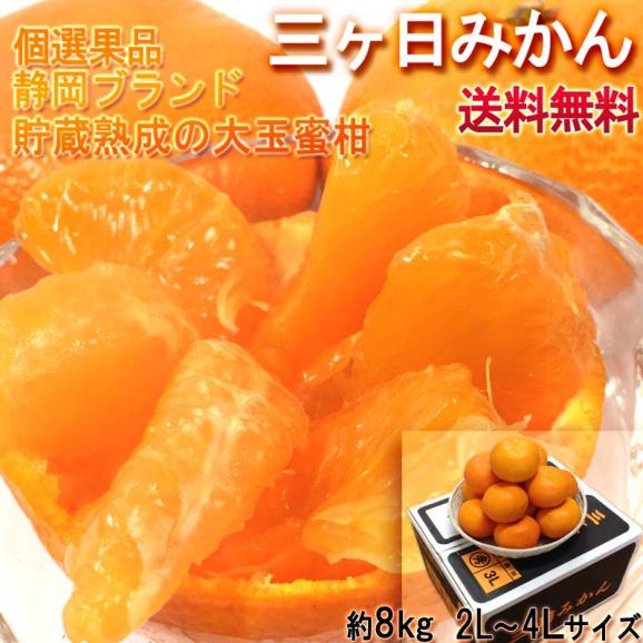 三ヶ日みかん 大玉ミカン 約8kg 2L~4Lサイズ 静岡県産 贈答規格 個人農家産 貯蔵熟成で程よい酸味と抜群の味!当店人気のブランド蜜柑02