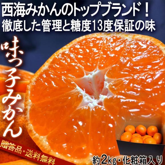 味っ子 西海みかん 約2kg 長崎県産 贈答規格 JAながさき西海 光センサー選果品 糖度13度保証・農園指定のギフト蜜柑！トップブランドの高級フルーツ02