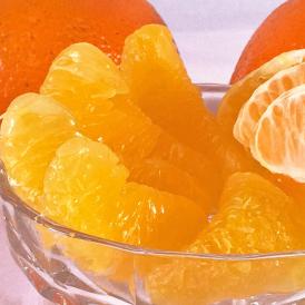 産地直送 伊予の春風 いよかん 約10kg M～4Lサイズ 愛媛県産 伊予柑の出荷量全国一位の愛媛より直送！縁起の良い爽やかな甘さのフルーツ