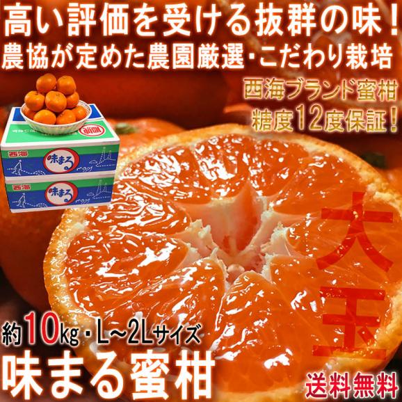 味まる蜜柑 約10kg L～2Lサイズ 長崎県産 JAながさき西海 光センサー選果で糖度12度保障！長崎県が誇るブランド果物、西海みかん02