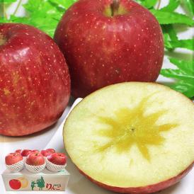 蜜いわて サンフジ林檎 3.5kg 6～13玉 岩手県産 秀品 贈答可能 濃厚な味と蜜入りの果肉！美味しさ重視の岩手りんご 