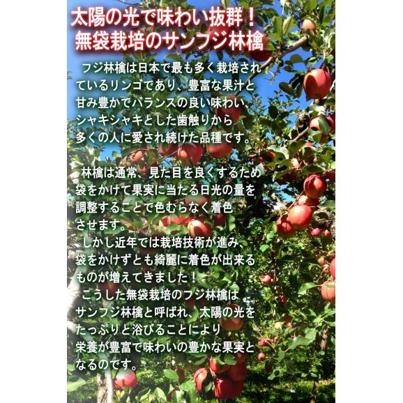 蜜いわて サンフジ林檎 3.5kg 6～13玉 岩手県産 秀品 贈答可能 濃厚な味と蜜入りの果肉！美味しさ重視の岩手りんご 04