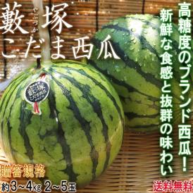 藪塚こだま西瓜 温室スイカ 約3～4kg 2～5玉 群馬県産 贈答規格 JA太田市 温室で育てた甘さ際立つブランドすいか！