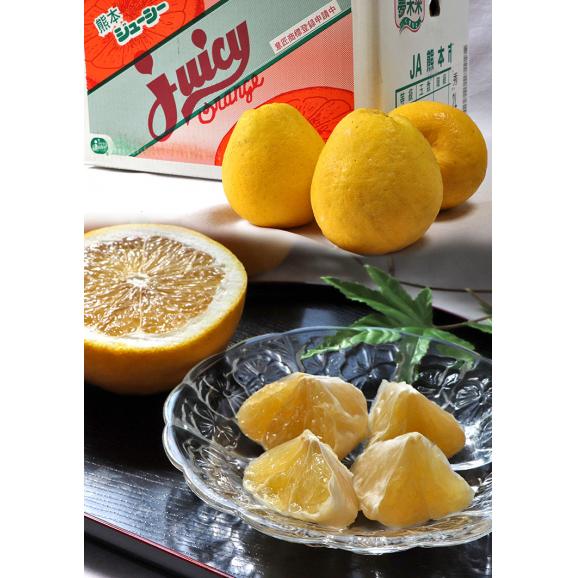 河内晩柑 かわちばんかん 約7.5kg 熊本県産 贈答規格 JA共撰品 秀品～優品 豊富な果汁と上品な甘さの和製グレープフルーツ！05