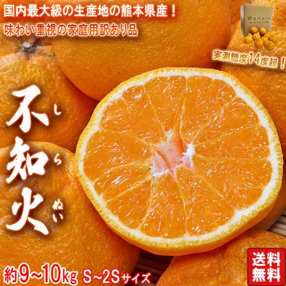 不知火みかん しらぬい 小玉限定 約9～10kg 2S～Sサイズ 熊本県・個人農家産 訳あり品 実測糖度14度の濃厚な甘さ！デコポンと同一品種の家庭用フルーツ02