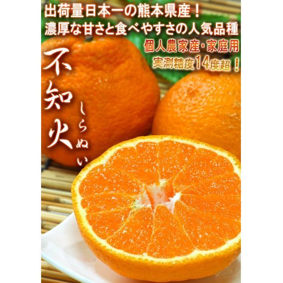 不知火みかん しらぬい 小玉限定 約9～10kg 2S～Sサイズ 熊本県・個人農家産 訳あり品 実測糖度14度の濃厚な甘さ！デコポンと同一品種の家庭用フルーツ03