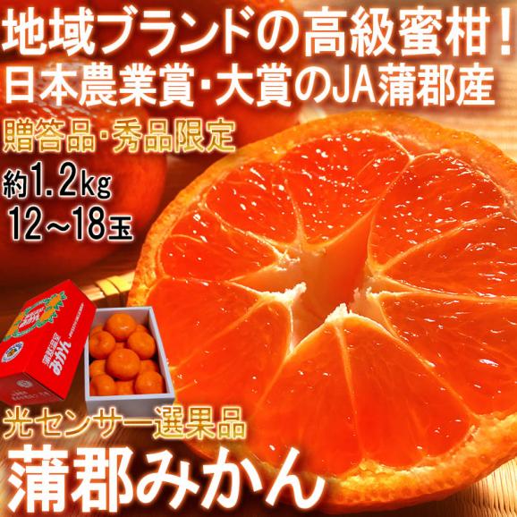 蒲郡みかん 温室栽培 約1.2kg 9～15玉 愛知県産 贈答規格 化粧箱入り 光センサー選果 日本農業賞で最優秀賞の蜜柑産地！ギフト最適な地域ブランドの温州ミカン02