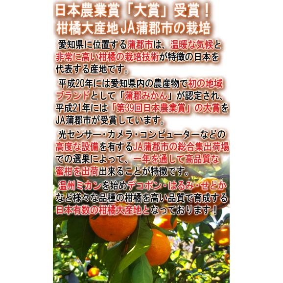 蒲郡みかん 温室栽培 約1.2kg 9～15玉 愛知県産 贈答規格 化粧箱入り 光センサー選果 日本農業賞で最優秀賞の蜜柑産地！ギフト最適な地域ブランドの温州ミカン03