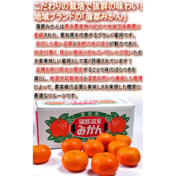 蒲郡みかん 温室栽培 約1.2kg 9～15玉 愛知県産 贈答規格 化粧箱入り 光センサー選果 日本農業賞で最優秀賞の蜜柑産地！ギフト最適な地域ブランドの温州ミカン04