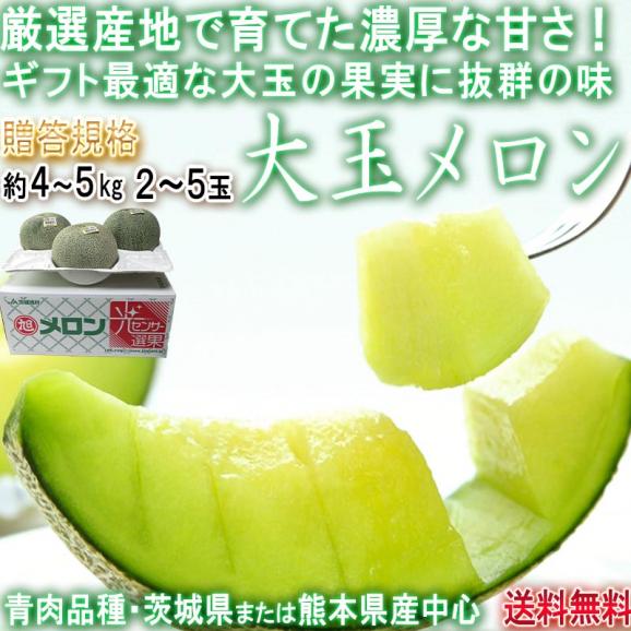 大玉メロン 青肉 約4～5kg 2～5玉 茨城県産 贈答規格 JA共撰品 秀品～優品 ギフト最適な大玉の果実に豊かな甘さとジューシーな食感！02