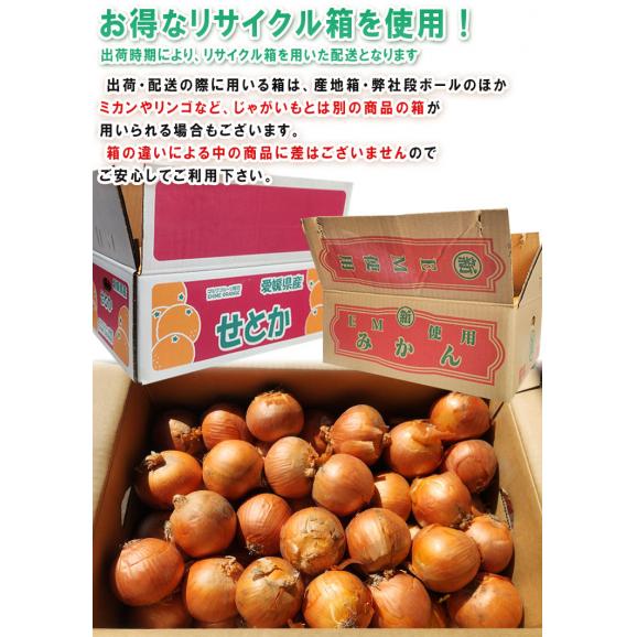 新たまねぎ 玉葱 約20kg M~2Lサイズ 佐賀県産中心 大容量のお得な国産野菜!新鮮な旬の味をお届け03