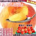 産地直送 桃 和歌山産 おてんば娘 約4kg 14～20玉 訳あり わけあり 家庭用 日本屈指の桃産地で育てた抜群の味と鮮度！ 白桃 白鳳