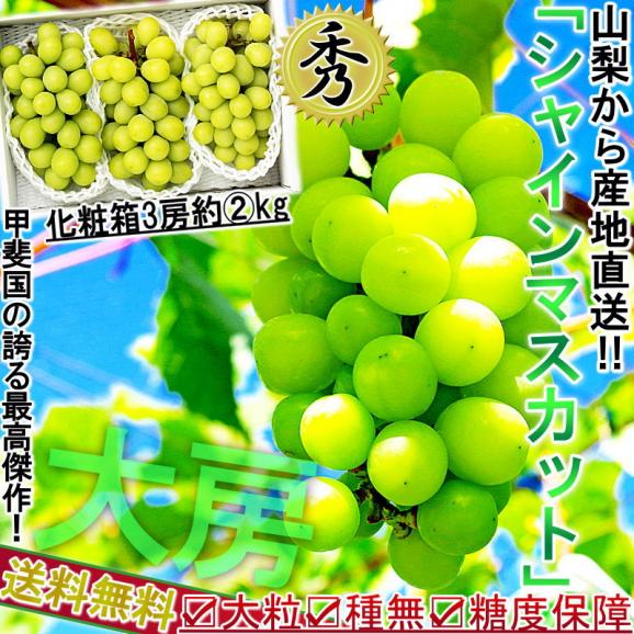 産地直送 シャインマスカット ぶどう 約2kg 3房 山梨県産 贈答品 種なし葡萄 大房 秀品 化粧箱入り TVでも話題の高級大粒ブドウ02