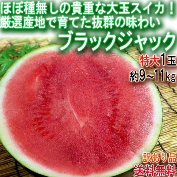 ブラックジャック 種無し西瓜 1玉 約9～11kg 3～4Lサイズ 訳あり品 千葉県産 大玉限定 日本屈指の産地で育てた千葉の貴重なタネなしスイカ！02