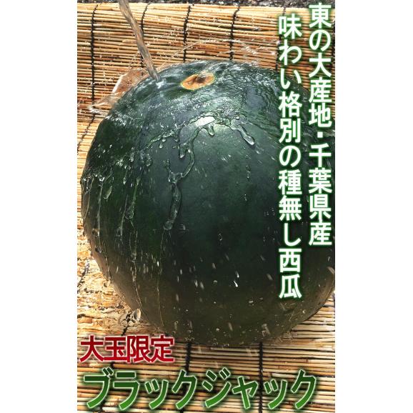 ブラックジャック 種無し西瓜 1玉 約9～11kg 3～4Lサイズ 訳あり品 千葉県産 大玉限定 日本屈指の産地で育てた千葉の貴重なタネなしスイカ！03