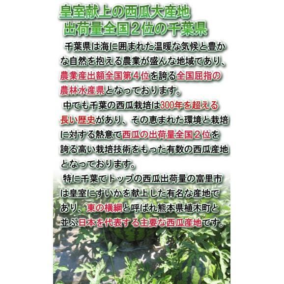 ブラックジャック 種無し西瓜 1玉 約5～7kg 千葉県産 贈答規格 黒皮の果実に抜群の味！地域ブランドの富里産中心スイカ03