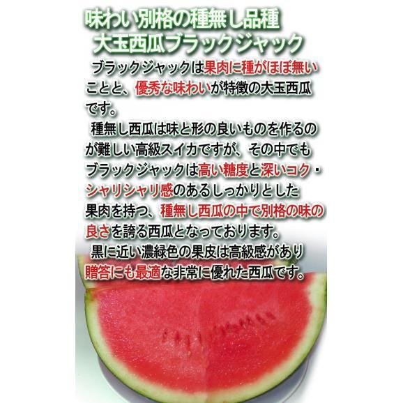 ブラックジャック 種無し西瓜 1玉 約5～7kg 千葉県産 贈答規格 黒皮の果実に抜群の味！地域ブランドの富里産中心スイカ04