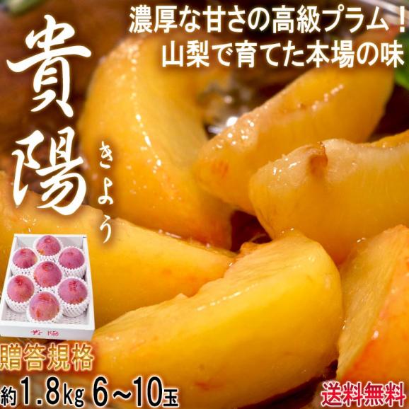 貴陽 きよう 厳選高級プラム 化粧箱入り 約1.8kg 6～10玉 山梨県産 贈答品 大玉中心 実測糖度17度以上！お中元に最適な味わい抜群のスモモ02