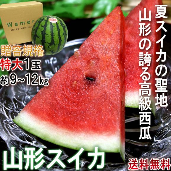 山形スイカ 特大サイズ 約9～12kg 1玉入り 贈答規格 山形県産 JA共撰品中心 西瓜の出荷量全国３位の大産地！夏すいかの聖地が誇る抜群の味02