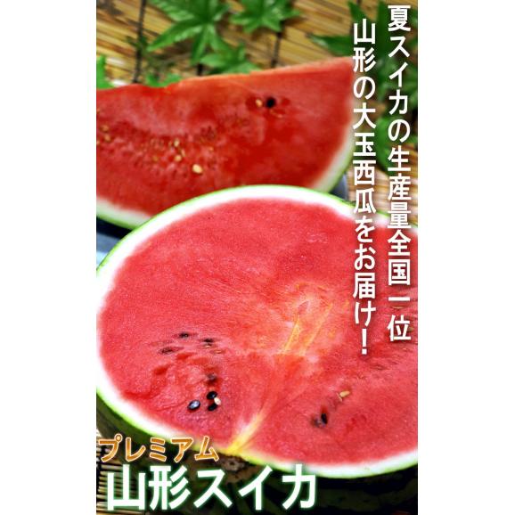 山形スイカ 特大サイズ 約9～12kg 1玉入り 贈答規格 山形県産 JA共撰品中心 西瓜の出荷量全国３位の大産地！夏すいかの聖地が誇る抜群の味03