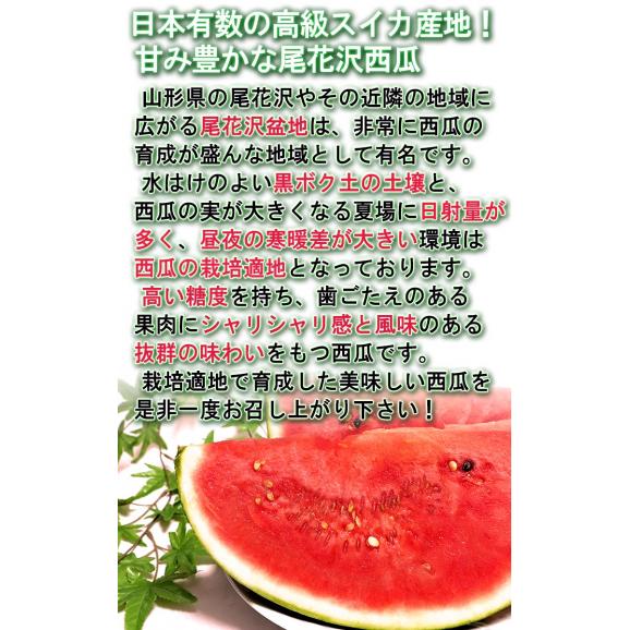 山形スイカ 特大サイズ 約9～12kg 1玉入り 贈答規格 山形県産 JA共撰品中心 西瓜の出荷量全国３位の大産地！夏すいかの聖地が誇る抜群の味04