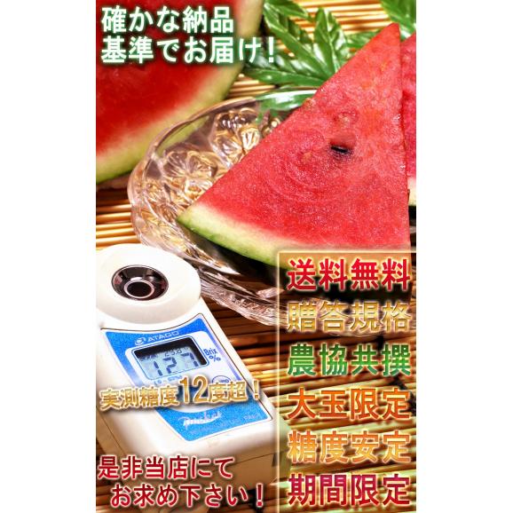 山形スイカ 特大サイズ 約9～12kg 1玉入り 贈答規格 山形県産 JA共撰品中心 西瓜の出荷量全国３位の大産地！夏すいかの聖地が誇る抜群の味05