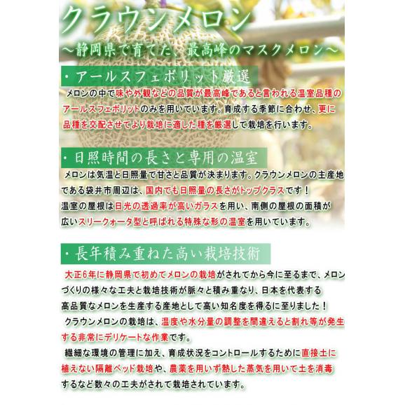 クラウンメロン 約1.5kg 1玉入り 贈答規格 静岡県産 マスクメロンの最高峰！しずおか食セレクション認定品03