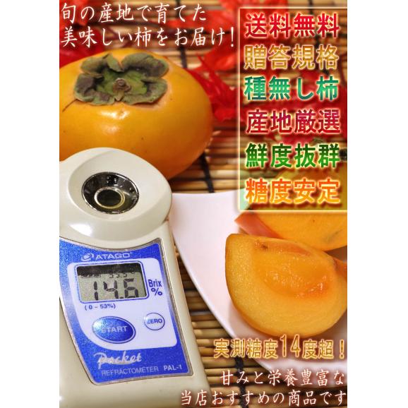 種無し柿 約3.75kg 12～28玉入り 奈良・岐阜・和歌山県産中心 贈答規格 秀～優品 甘み豊かな旬のフルーツ！本場のカキを全国より厳選04