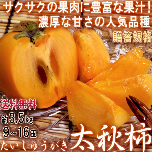太秋柿 たいしゅうかき 約3.5kg 9～16玉入り 茨城県産中心 贈答規格 サクサクの果肉と豊富な果汁！高糖度の完全甘柿02