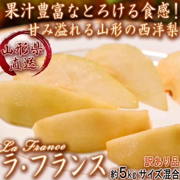 産地直送 ラ・フランス 西洋梨 約5kg 山形県産 訳あり品 なめらかな食感と甘み豊かな本場の味！お得な家庭用ラフランス02