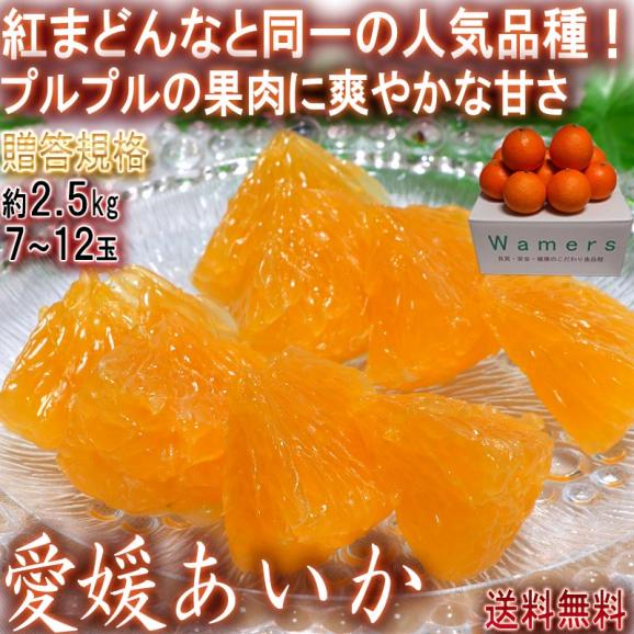 愛媛あいか 約2.5kg 7～12玉入り 愛媛県産 贈答規格 個人農家産 紅まどんなと同一品種！プルプルの果肉に豊かな甘み02
