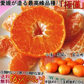 甘平 かんぺい 約2.5kg 8～15玉 愛媛県産 訳あり シャキシャキの食感と高い糖度！愛媛オリジナルの高級みかん